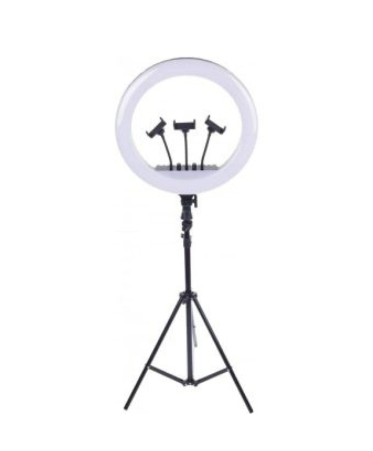 ARO DE LUZ PROFESIONAL 36CM